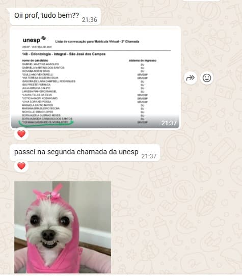 Feedback de aluno 40